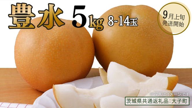豊水 約5kg (8～14玉)【2026年9月上旬発送開始】(茨城県共通返礼品：大子町) 梨 なし 果物 くだもの フルーツ