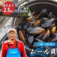 【8月～12月発送】 国産 活ムール貝 2.5kg ムール貝 ムラサキ貝 殻付き 新鮮 産地直送 旬 三陸 岩手県 大船渡市 [nakano009]
