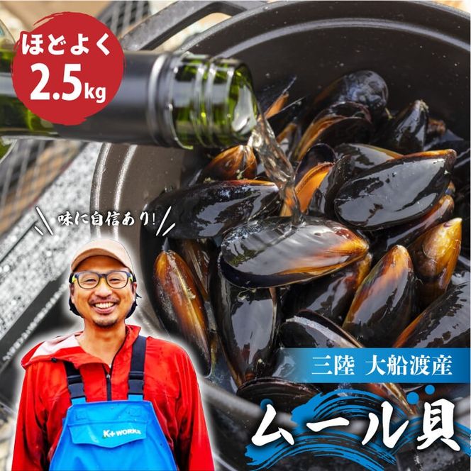 y茧Dnszy8`11z Y [L 2.5kg [L TLL kt VN Yn { O 茧 Dns [nakano009]