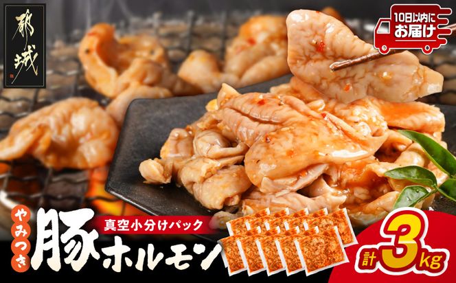 やみつき豚ホルモン!3kg!真空小分けパック!≪みやこんじょ特急便≫_LG8-3303-Q_(都城市) 国産豚 ホルモン 味付き 300g×10P 3kg 小分け 真空パック 豚肉