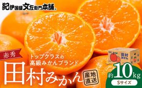 V7444_【2026年先行予約】田村みかん／特選ギフト品10kg【Sサイズ】赤秀