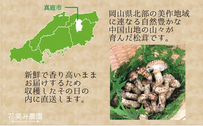 【2027年先行予約】 花笑み農園　岡山の『松茸』200g 【hana011-03】