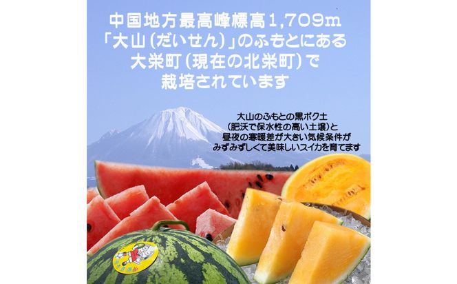 1254.【先行予約】鳥取スイカの食べ比べ！2玉セット（赤肉すいか＆金色羅皇） 313726_CK005