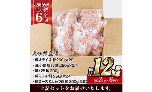＜定期便・全6回 (連続)＞ 豚肉 バラエティーパック (総量12kg・5種) 豚バラ しゃぶしゃぶ 鍋 とんかつ ロース 小分け 個包装 豚こま 小間切れ スライス ミンチ セット 詰め合わせ 冷凍 食べ比べ 国産 大分県 佐伯市【BD322】【西日本畜産】