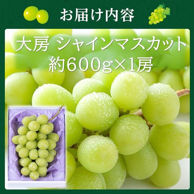 2027年 早期受付【高島屋選定品】大房 シャインマスカット 約600g×1房 岡山県高梁市産 個装箱入り 葡萄 ブドウ 贈り物