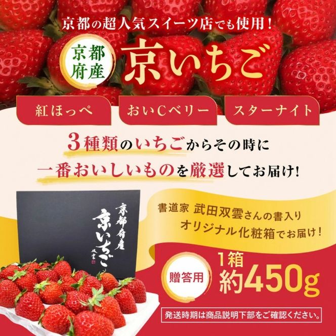 来シーズン予約受付 高級 京いちご 完熟 朝採れ 1箱 約450g 小島農園 紅ほっぺ おいCベリー スターナイトから厳選してお届け≪期間限定 苺 イチゴ 旬≫※離島への配送不可 ※2026年1月中旬～5月上旬頃に順次発送予定