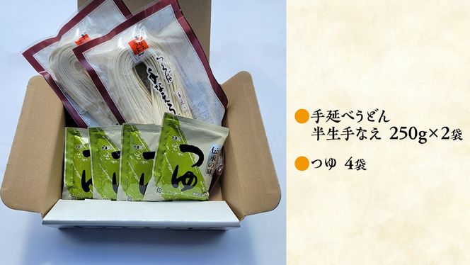 手延べうどん 半生手なえ 2袋 ( 4人前 ) スープ付き 麺 めん 半生 [BE008ci]