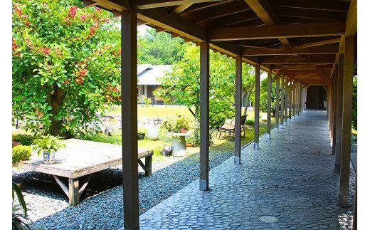 �y�������@���s�z�������������̗��i�y�A�h�����j���ꕗ�h �y��h�͂Ȃ��сz_HA0537