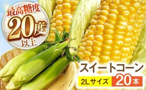 【2026年6月～発送】【最高糖度20度以上！】とうもろこし 2Lサイズ 20本 / ゴールドラッシュネオ トウモロコシ コーン スイートコーン / 南島原市 / 三和サービス株式会社[SGB009]