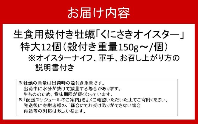 牡蠣 生食用 殻付き くにさきオイスター 特大サイズ12個（殻付き重量150g～/個）　【オイスターナイフ付き】 カキ oyster 生牡蠣_2361R-2