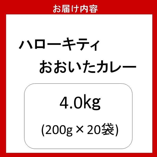 ハローキティおおいたカレー4.0kg（200g×20袋）豊後牛 サンリオ お手軽 時短_2776R