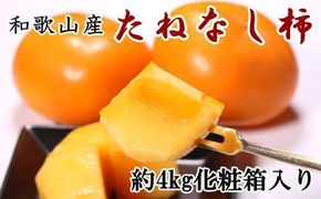 【秋の味覚】和歌山産のたねなし柿2L～4Lサイズ約4kg（化粧箱入り）【tec409A】