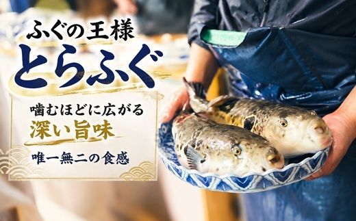 【1.1-10】職人手引き とらふぐ刺身３人前(特製ポン酢付)