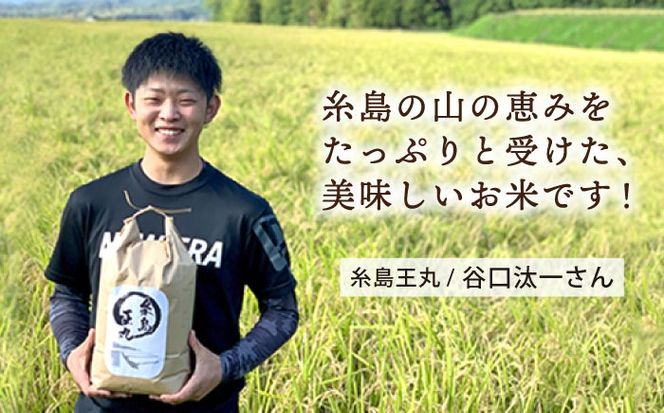 【令和7年産】糸島産 ヒノヒカリ 10kg 糸島市 / 糸島王丸農園 ( 谷口汰一 )【いとしまごころ】[AAZ014]