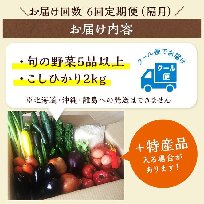 【6回定期便】京都丹波・亀岡発 旬の野菜・こしひかり 詰め合わせセット (隔月6回お届け)● ※北海道・沖縄・離島への配送不可