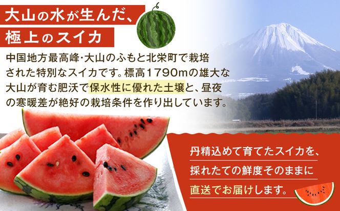 【先行予約】鳥取県北栄町産 大玉スイカ 訳あり(2玉セット)１玉あたり6-9キロ前後L-4L（こちらの返礼品は、大栄西瓜ではありません） 313726_CK008