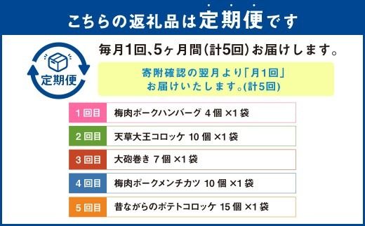 【5回定期便】ご飯の味方定期便 ハンバーグ コロッケ 大砲巻き メンチカツ 定期 定期便 5種 揚げ物 惣菜 おかず 冷凍 国産 九州産 熊本県 上天草市