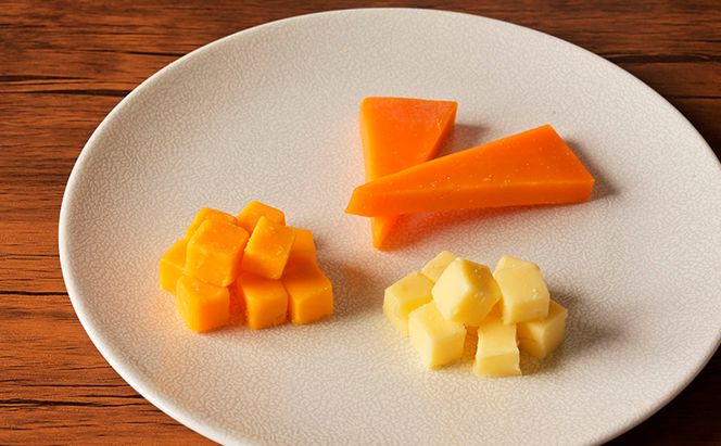 10種のチーズの詰め合わせおつまみ 詰め合わせ  セット 長野 信州 小諸 乳製品 加工食品 盛り合わせ 