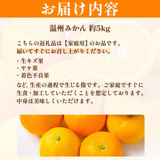 【先行予約】浅野農園の温州みかん 家庭用計5kg ※離島への配送不可（2026年12月上旬～12月中旬頃に順次発送予定 ）IKTAC004