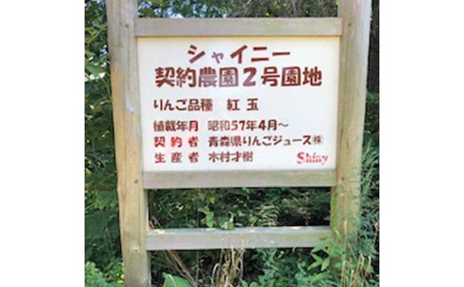 りんごジュース 青森 シャイニーアップルジュース 林檎倶楽部 紅玉 180ml×24本 風丸農場 りんご ジュース 100% ストレート アップルジュース フルーツジュース 果物ジュース 瓶 希少 フルーツ 果物 飲料 リンゴ 林檎 青森県産 青森県