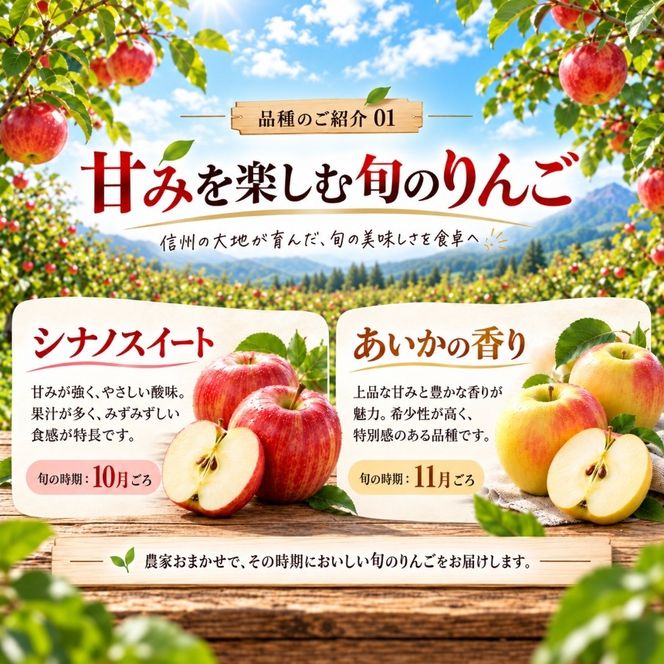 信州の旬のりんごおまかせ 約3キロ（りんご・リンゴ・林檎）| りんご おまかせ 先行受付 予約 長野県 長野県産 信州産 長野県 伊那市 信州のりんご 信州 長野 伊那市産 上伊那 甘い みずみずしい シャキシャキ 約3kg 家庭用 りんご リンゴ 林檎 産地直送 フルーツ 果物 デザート おやつ【012-90】