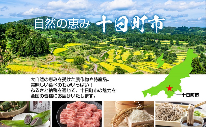 熨斗 ミニ笹だんご 25g × 20個 袋入り つぶあん 冷凍 笹団子 銘菓 新潟 お土産 餅 和菓子 もち だんご 着色料不使用 おやつ ギフト お取り寄せ 無地熨斗 のし 新川屋 新潟県 十日町市 