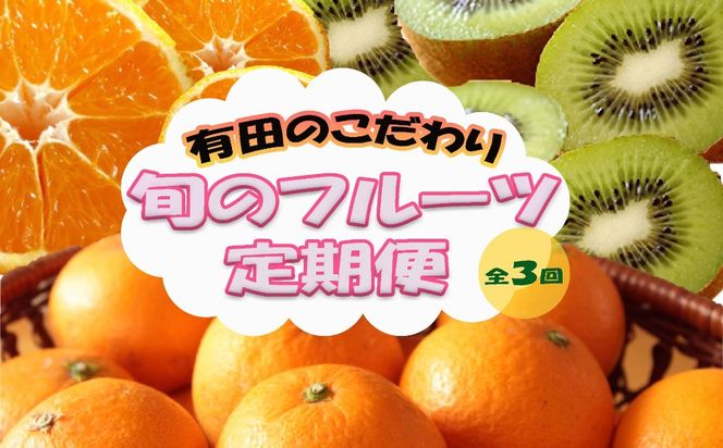 定期便全3回【1月・2月・3月発送】和歌山のこだわりが詰まった旬のフルーツ定期便（キウイ・不知火・清見オレンジ） BZ123