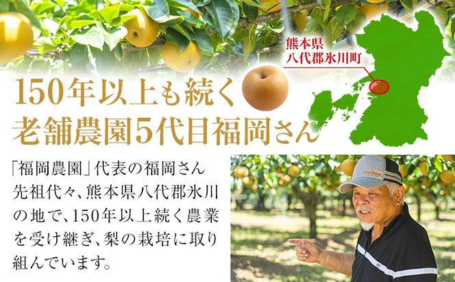 梨 あきづき 福岡農園 こだわりの梨 あきづき 約5kg 《9月上旬-9月下旬頃出荷予定》熊本県 氷川町 ナシ 秋 旬 熊本 フルーツ お取り寄せ 無袋栽培 送料無料 旬の梨 フルーツ梨 あきづき 約5kg nashi あきづき 旬---hkw_lcl_327_5kg---