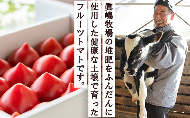 トマト 野菜ソムリエが育てた うしの惠フルーツトマト 1kg(500g×2) 甘い フルーツトマト 高知 アレンジ サラダ 鍋 サンドイッチ 完熟 リコピン 甘い あまい 贈答 国産 mj-0025