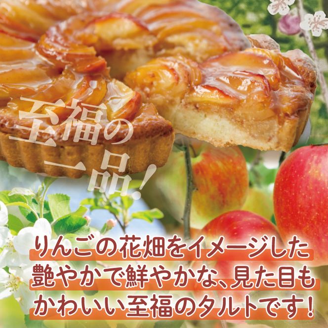 【藤田観光りんご園】りんご園で焼いた至福のアップルタルト(ホールサイズ)【フジタアップルオーチャード 茨城県 大子町 奥久慈 林檎 お菓子 焼菓子 おやつ デザート スイーツ】(BJ008)