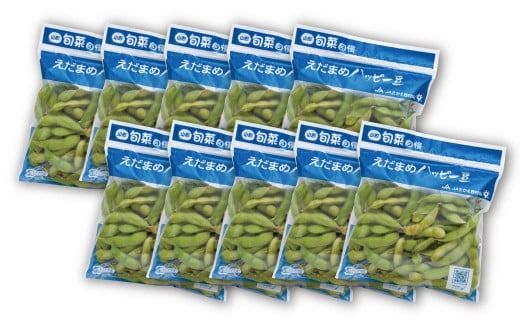 FYN9-388 ≪2026年先行予約≫山形県産 秘伝豆 2.5kg（250g×10袋）2026年9月中旬から順次発送 小分け 個包装 青大豆 枝豆 えだまめ 野菜 やさい おつまみ ビール 国産 山形県 西川町 月山