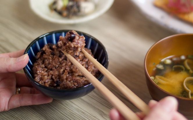 発芽発酵玄米パックご飯 125g×6パック 糸島市産 糸島市 / 糸島の恵み ごはん 米[AGR005]