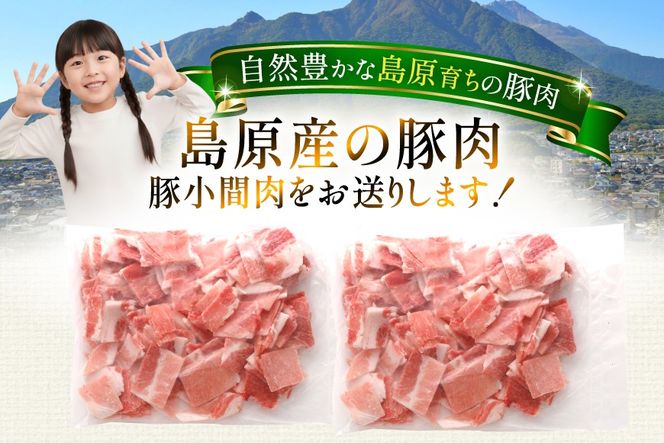 AK028 豚小間 500g 2パック 計1kg [ 豚肉 小分け 豚こま こま切れ 肉 お肉 BBQ バーベキュー 焼肉 アウトドア 1キロ スターゼン 長崎県 島原市 ]