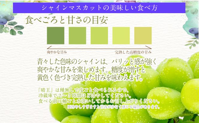 2026年予約受付中 シャインマスカット晴王 7月～8月出荷 1房 約700g  人気 岡山県産 種無し 皮ごと食べる みずみずしい  フレッシュ 晴れの国 おかやま 果物大国 ハレノフルーツ