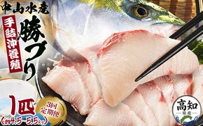 ブリ 鰤 1匹 3回 定期便 海鮮 4.5kg～5.5kg 【先行申込】 - 期間限定 魚 ぶり 鰤 寒ブリ 海鮮 鮮魚 魚介類 海の幸 ギフト お刺身 Wny-0016