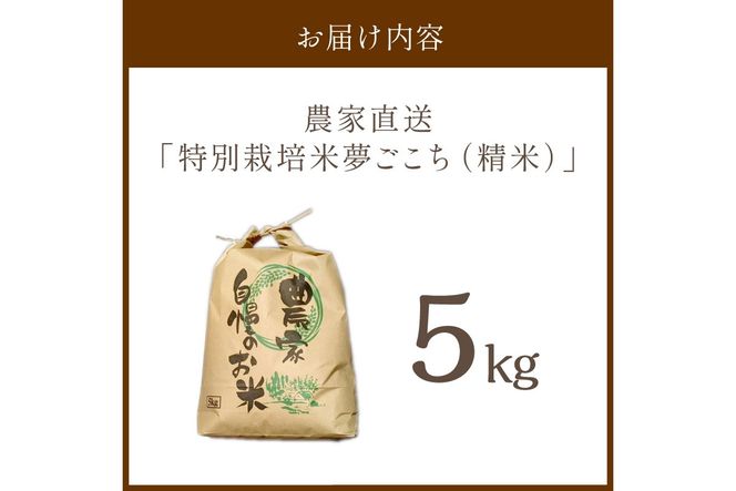 2025年産 京都・京丹後峰山 特別栽培米夢ごこち 5kg 【白米】　MF00061