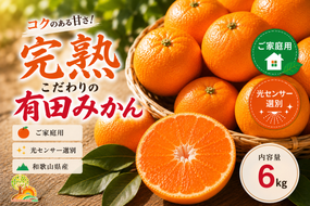 ＼光センサー選別／こだわりの完熟有田みかん 6kg＋150g(傷み補償分) 【ご家庭用】サイズ混合 ｜ふるさと納税 みかん 有機質肥料100%◇