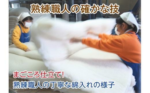 もめん綿入り（コットン100％）　肌掛け布団　二重ガーゼタイプ（グリーン）【CW27W1】