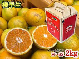 ちょっと傷あり【極早生・有田みかん】M～SSサイズ約2kg_ZF6304n