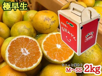 ちょっと傷あり【極早生・有田みかん】M～SSサイズ約2kg_ZF6304n