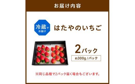 はたやのいちご 2Pセット《 いちご 苺 イチゴ フルーツ 果物 国産 フルーツ工房はたや あまえくぼ 章姫 あまクイーン ロイヤルクイーン ぽりっちご あまおとめ 堅しろう 》【2501C09702】