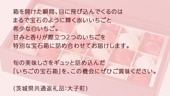 赤いちご と 白いちご の宝石箱18粒【2025年12月上旬発送開始】(茨城県共通返礼品：大子町) いちご 苺 果物 フルーツ 果実