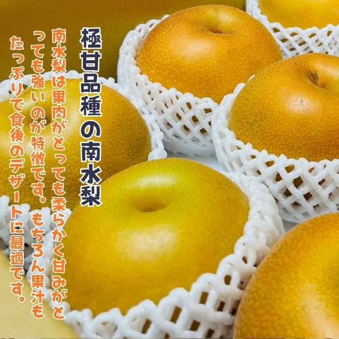 有田の 樹上 成熟 梨 農家直送 南水 梨 約2kg［2026年・先行予約］  AO042