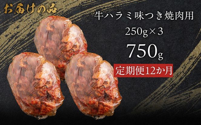 【12か月定期便】牛ハラミ味つき焼肉用 750g (250g×3)  MROBM046