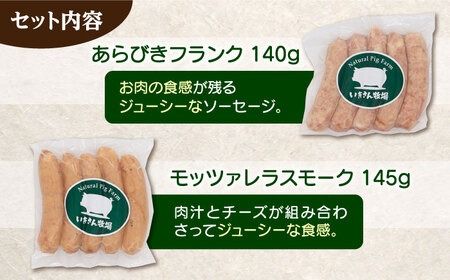 一貴山豚 ソーセージ 6種セット 『極』 糸島市 / いきさん牧場 豚 肉 [AGB026] 豚肉 セット ソーセージ ウインナー ホットドック フランク ギフト セット
