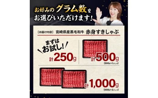 牛肉 ※発送月・内容量が選べる※ 生産者応援！宮崎県産黒毛和牛赤身すきしゃぶ250g～1000g 【 数量限定 牛肉 牛 肉 5等級 すき焼き すきやき しゃぶしゃぶ スライス 】 [ C00628-29 C00630-31 C00632-33 C00681 ]