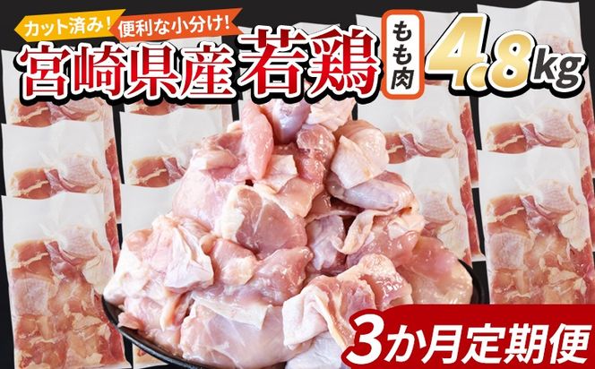 y{茧xz{茧Y{ؐg  4.8kgi300g×16܁j3ց X܂łɏ񔭑y 炠 g J[ V`[ BBQ ϕ `L   ܂ ٓ y Z uߕ ȒP zyb0786_it_x2z