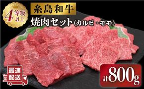 JA糸島 黒毛和牛 焼肉 セット カルビ モモ 800g 糸島市 / JA糸島産直市場 伊都菜彩 [AED008] 焼肉 やきにく 和牛 国産牛 カルビ モモ肉 もも肉 バーベキュー 肉