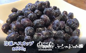 ◆ふらのジャム園◆ 冷凍 ハスカップ 2袋セット ( 果物 フルーツ 冷凍食品 新鮮 産地直送 北海道 道産 富良野 )