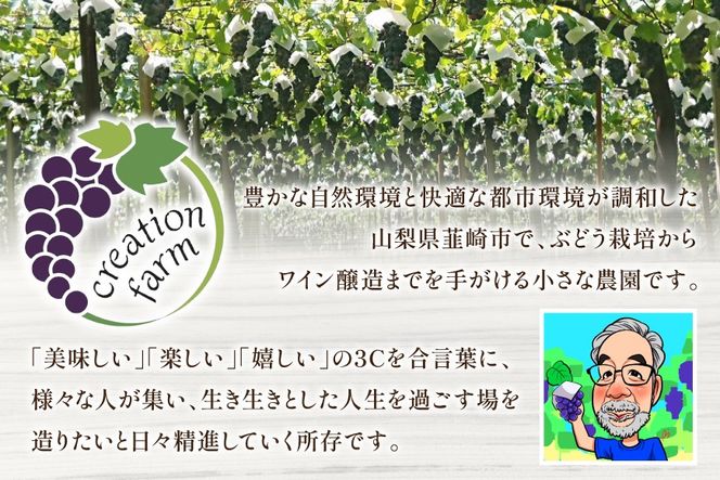ジュース ぶどうジュース100％ ストレート 国産 ぶどう 韮崎ブドウジュース 720ml 2本 ぶどうジュース 葡萄 ストレートジュース マスカットベーリーＡ 農園 送料無料 [Creation farm 山梨県 韮崎市 20743407]
